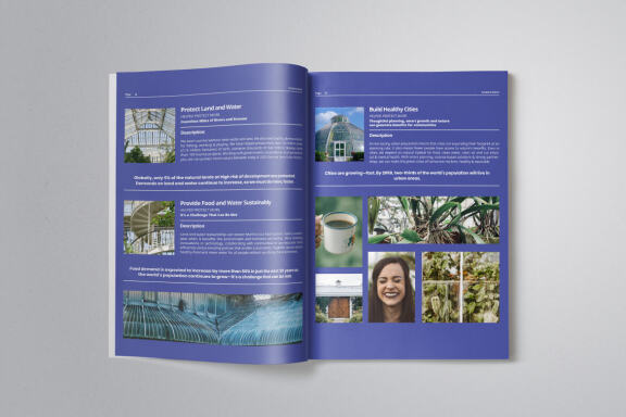 Business Project Proposal Indesign