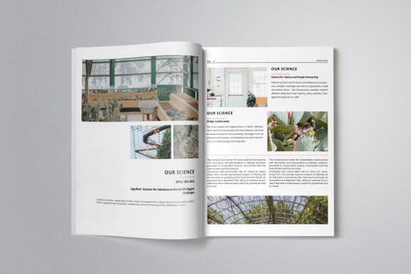 Business Project Proposal Indesign