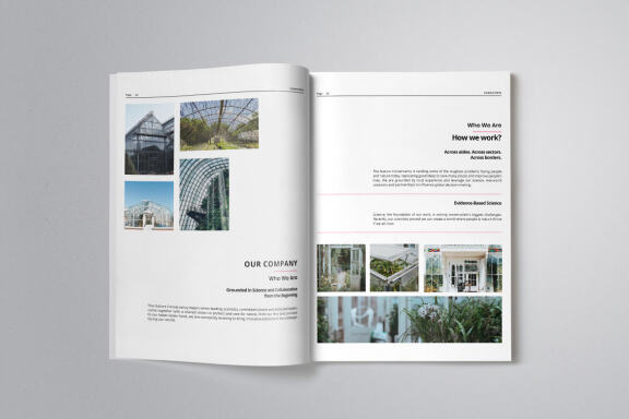 Business Project Proposal Indesign