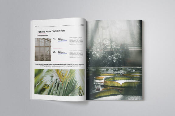 Business Project Proposal Indesign
