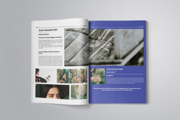 Business Project Proposal Indesign