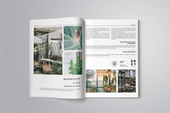 Business Project Proposal Indesign