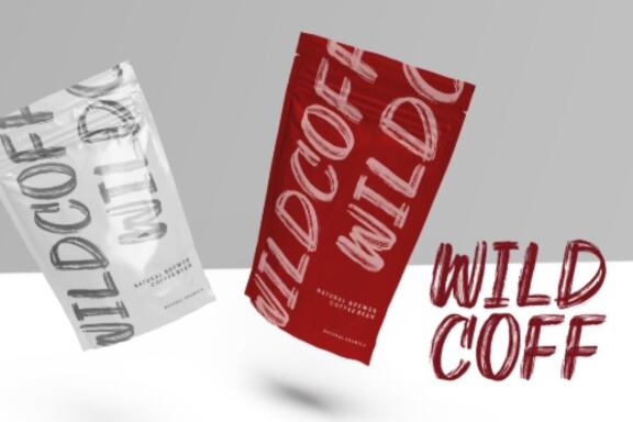 Railer | Handbrush Font