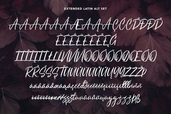 Ollykers Brush Script Font