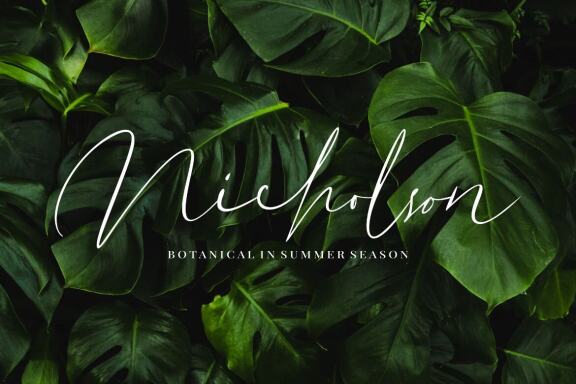 Dutchly – Modern Handwritten