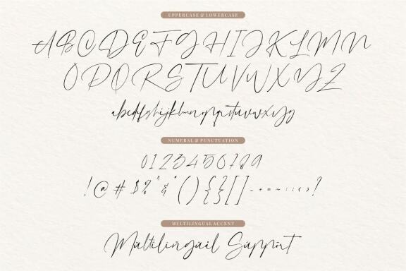 Dutchly – Modern Handwritten