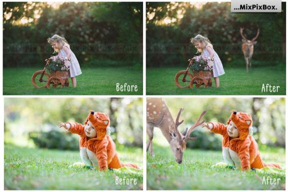 Deer Photo Overlays
