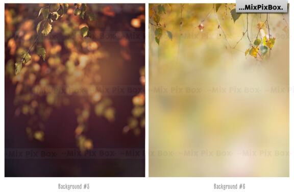 Autumn Portrait Backgrounds