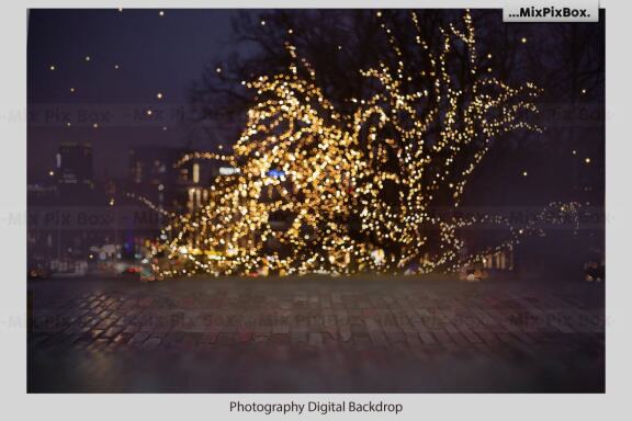 Christmas Lights Backdrops