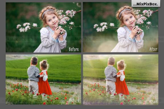 Summer Sun Haze Photo Overlays