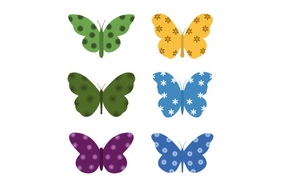 butterfly