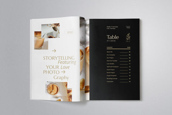 Professional Proposal Indesign