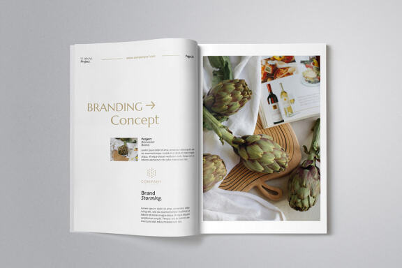 Professional Proposal Indesign