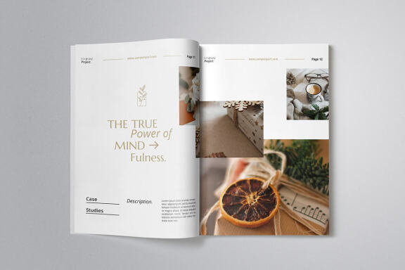 Professional Proposal Indesign