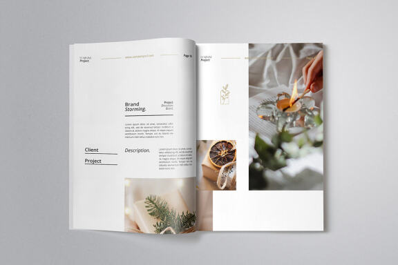 Professional Proposal Indesign