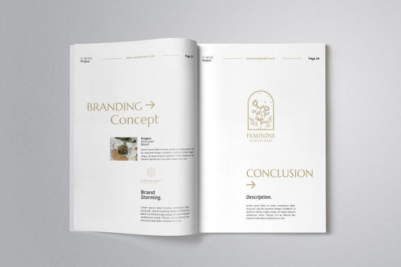Professional Proposal Indesign