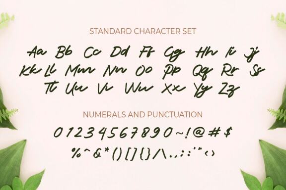 Jacks - Handwritten Font