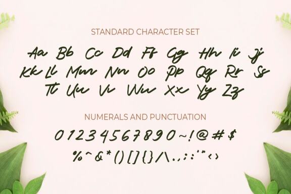 Jacks - Handwritten Font