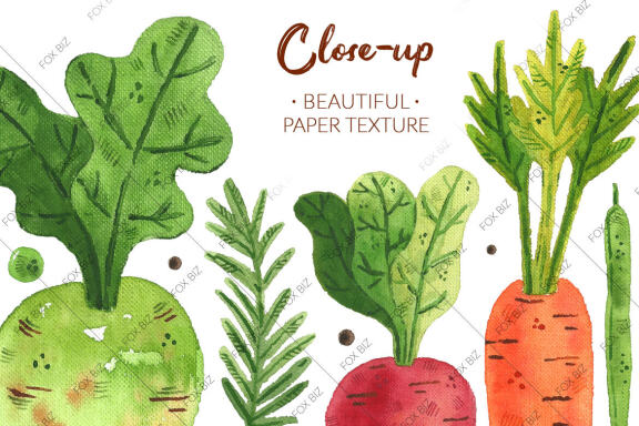 Veggies watercolor clipart illustrations