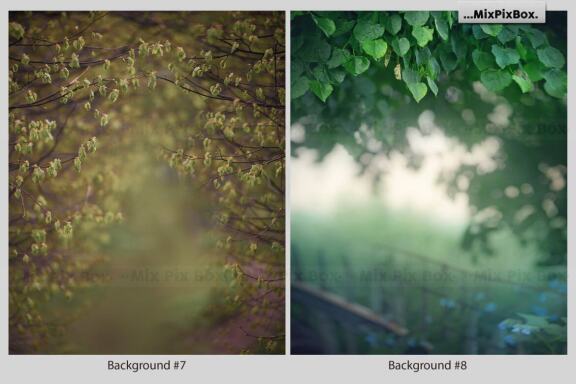 Spring Portrait Backgrounds