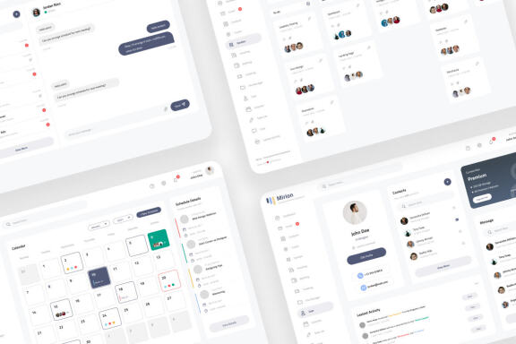 Mirion - Simple Professional Admin