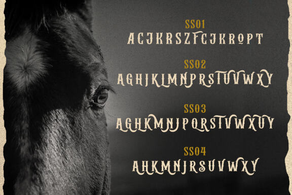 Albertson - Vintage Font