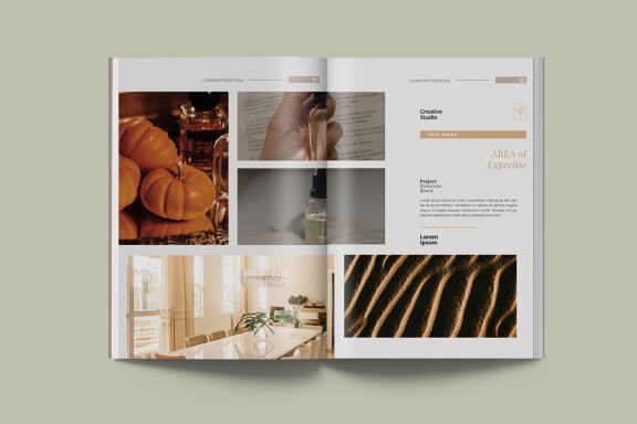 Simple and Elegant Company Proposal