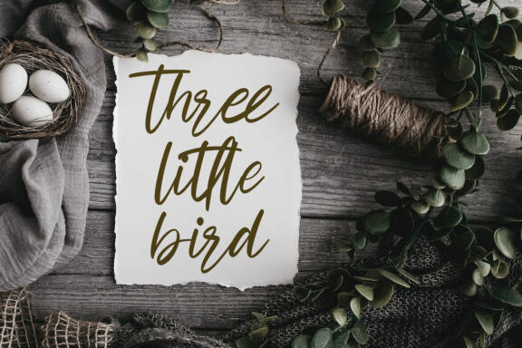 Cashwoots Handwritten Font
