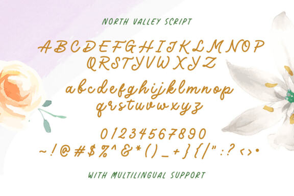 North Valley - Cute Sans and Script