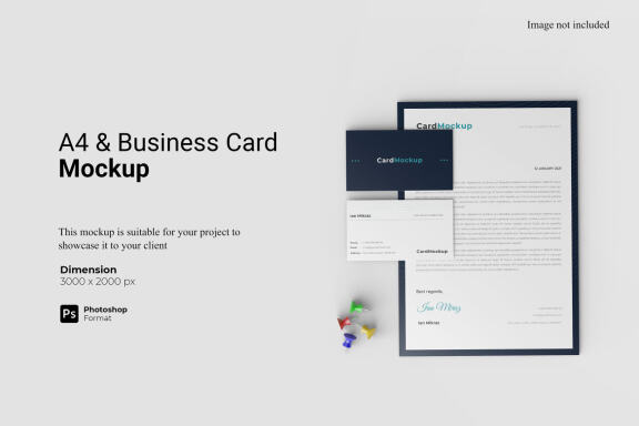A4 and Cards Mockup