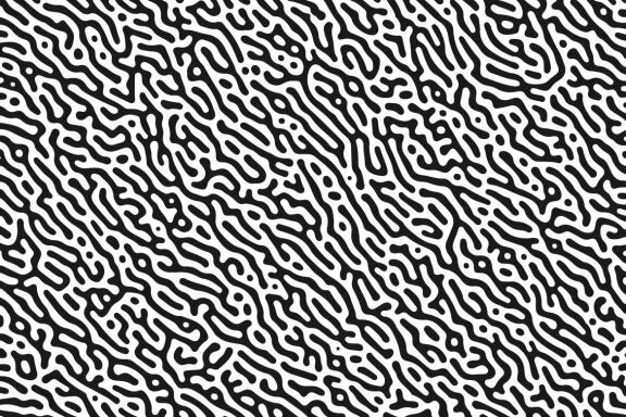 Turing Patterns #01