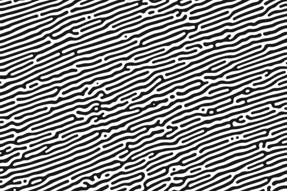 Turing Patterns #01