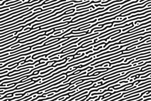 Turing Patterns #01