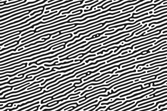 Turing Patterns #01