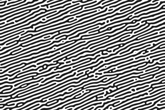 Turing Patterns #01