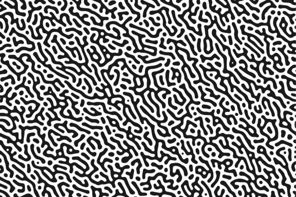 Turing Patterns #01