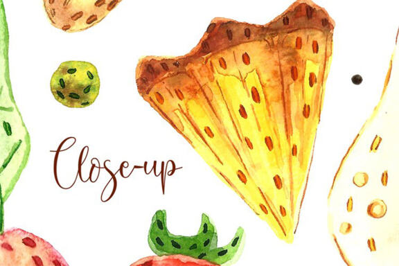 Aquarel hand drawn digital Healthy eating pack