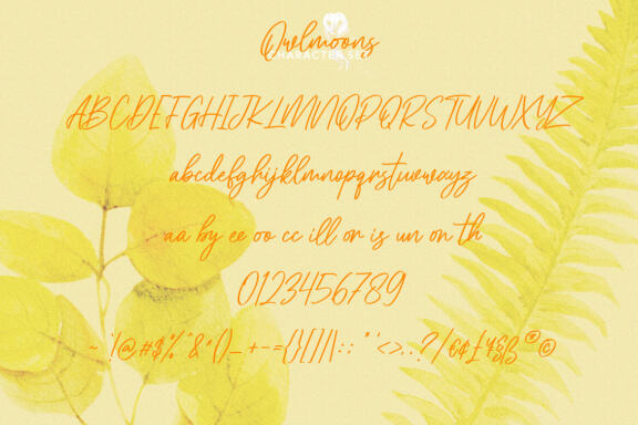 Owlmoons Signature Font