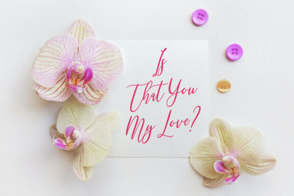 Mondayslove Feminine Signature Font