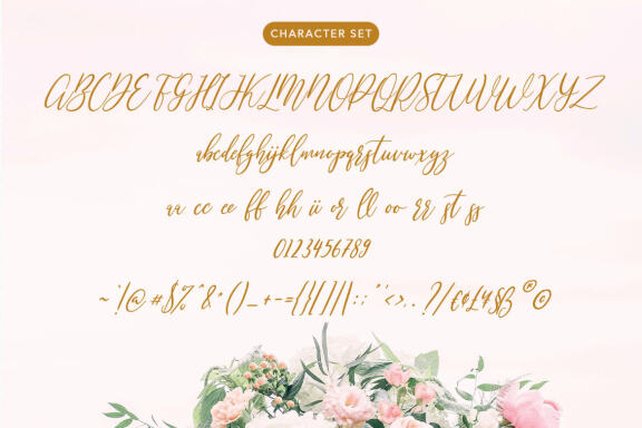 Mondayslove Feminine Signature Font