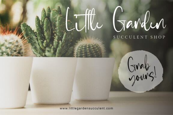 Emerthon – Modern Handwritten Font