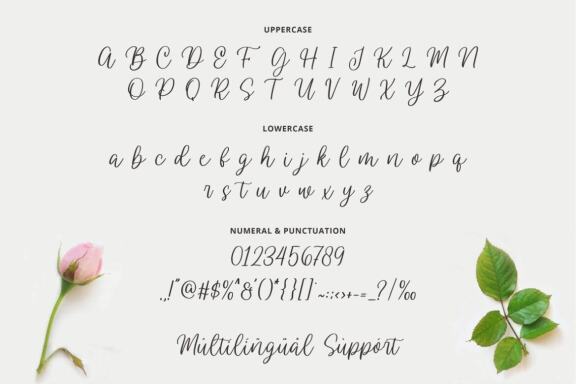 Wendling – Beautiful Script