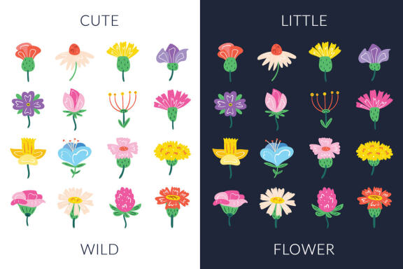 Wildflowers clipart. Floral prints. Nature, blooming flowers
