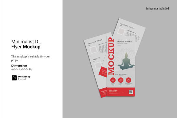 Minimalist DL Flyer Mockup