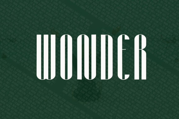  Raechel Font