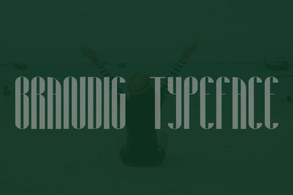  Raechel Font