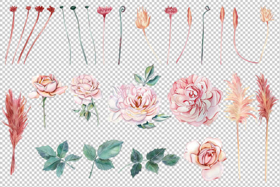 Watercolor clipart delicate pink roses and dried flowers