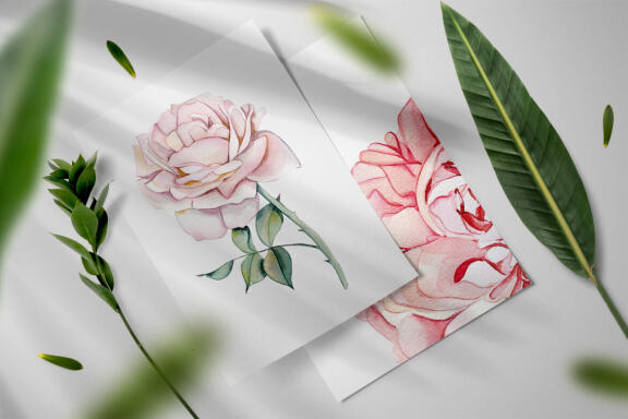 Watercolor clipart delicate pink roses and dried flowers