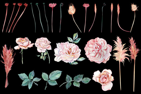 Watercolor clipart delicate pink roses and dried flowers