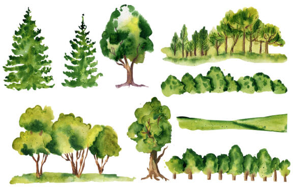 Watercolor forest clipart